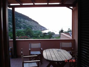 Terrace / Balcony