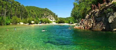 piscine naturelle