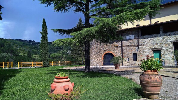 The garden of the farm in front of the apartment, overlooking the valley.