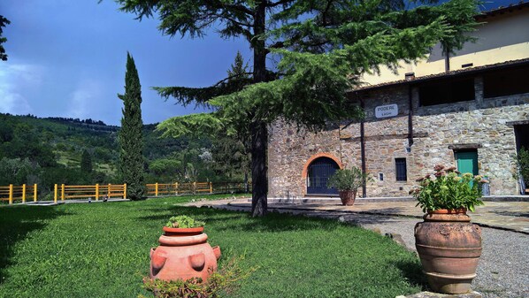 Il giardino del podere di fronte all'appartamento, con vista sulla valle.