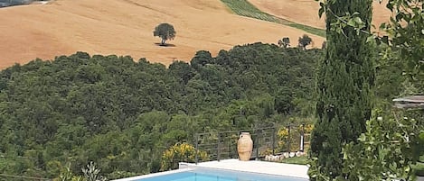 Infinity pool view from terrace