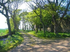 Front Drive