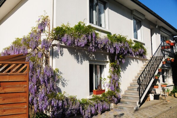 Wisteria Apartment