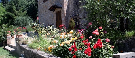 Jardines del alojamiento