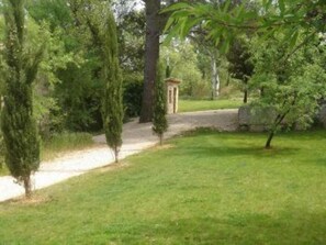 Garden, Park