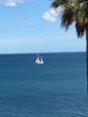 Magnificent view from terrace