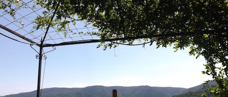 Al fresco dining shaded from the Tuscan sun