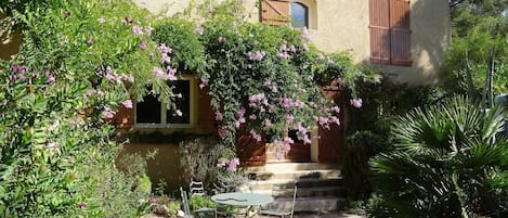 Maison avec bignone en fleurs vue depuis le jardin