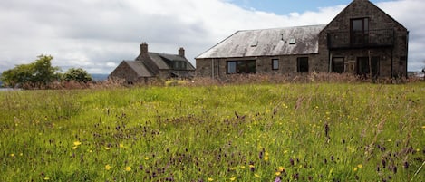 The wildflower meadow at the back of the lawned garden. Pines is on the right.
