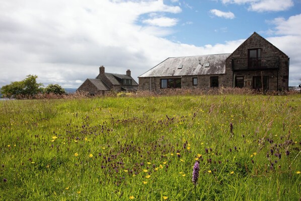 The wildflower meadow at the back of the lawned garden. Pines is on the right.
