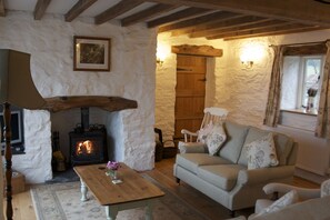 cosy up around the log stove!