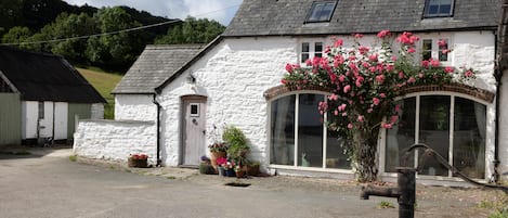 COTTAGE FRONT WITH CLIMBING ROSE IN FULL BLOOM