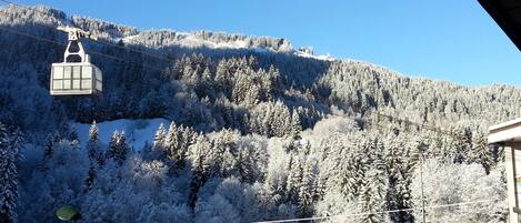 Terrain de l’hébergement 