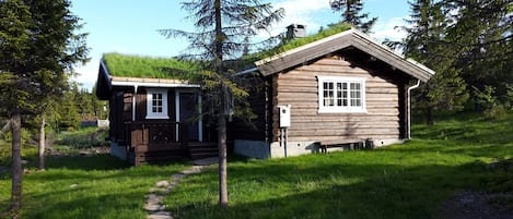 Udendørsområde