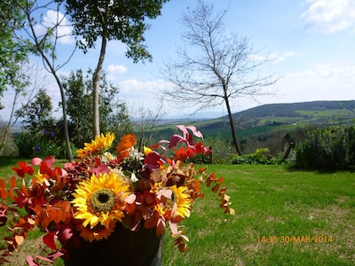 House with garden in the middle of etruscan hills