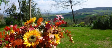 Terrenos do alojamento