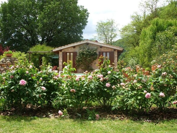 Casale Eredità Country Cottage in Italy e rose inglesi