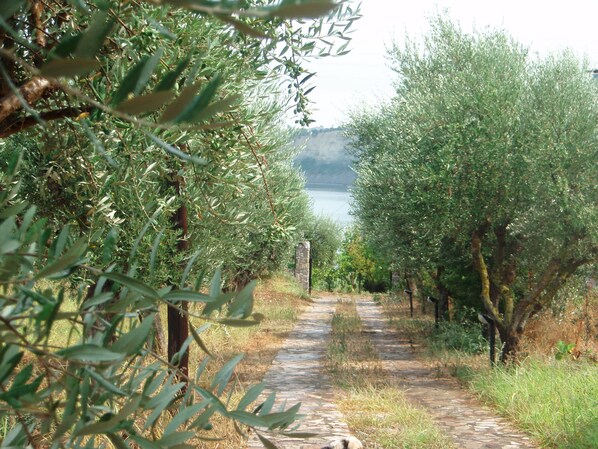 Εξωτερικός χώρος καταλύματος