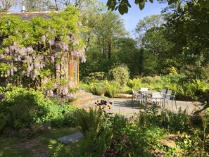 Wisteria clad kitchen/Terrace