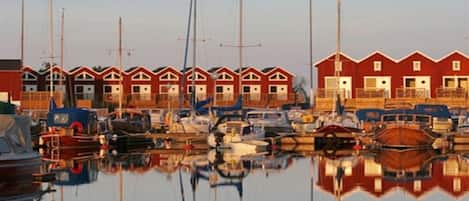 Harbor night view