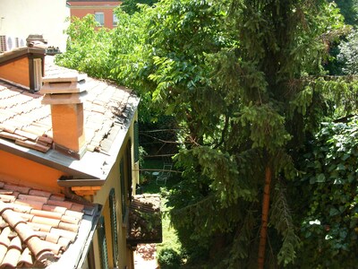 Apartment Ausführliche ZENTRUM MIT sehr grün und ruhig