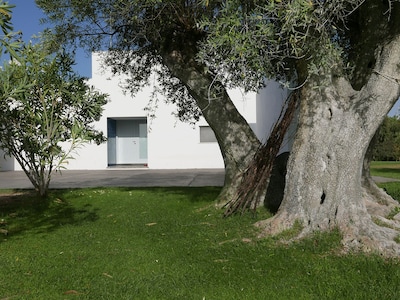 Integrado en una propiedad de 10 hectáreas, rodeada de olivos centenarios.