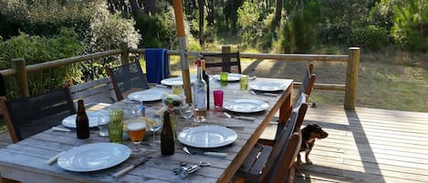 dinner with views over the forest