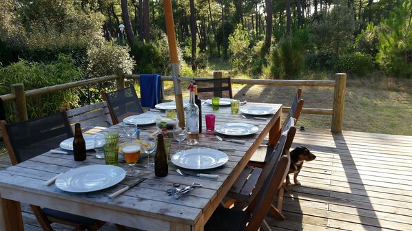 dinner with views over the forest