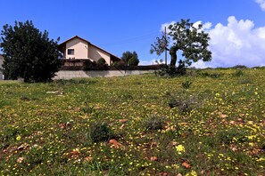 The side of the house