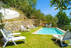 Olive trees surround the pool, providing shaded area's throughout the garden