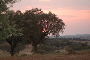 Another Perfect Sunset from Monte Do Telheiro