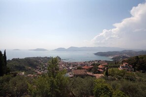 View from the Terrace