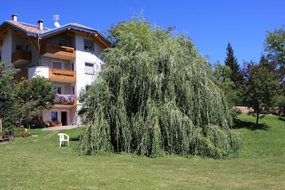Fai della Paganella Trentino Alto Adige - apartamento en planta baja con jardín