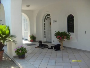 Extérieur