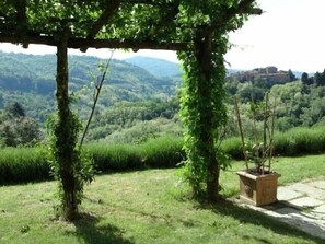 View from the pergola