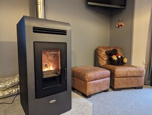 Wood pellet burning stove