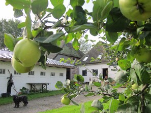 Boendeområde