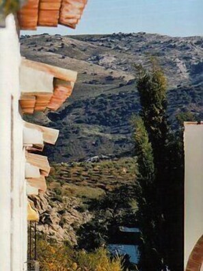 Spectacular mountain view from our private terrace