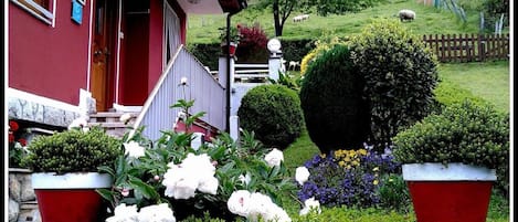 Jardín y exterior de la casa. 