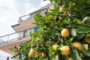 Es. di vista giardino di alcune delle locazioni del Residence Oleandro Liguria