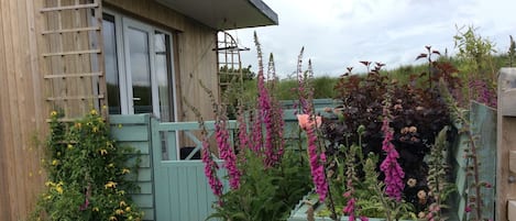 Front of Hedgerow Hut overlooking Pembrokeshire National Park