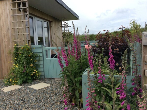 Front of Hedgerow Hut overlooking Pembrokeshire National Park
