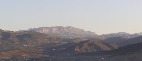 View from the Terrace