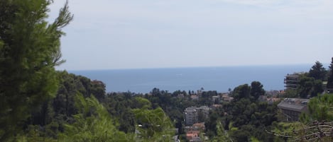 Vue de la terrasse du bas