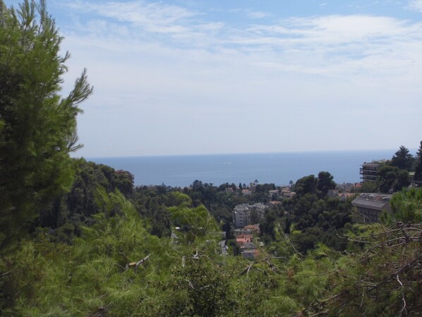 View from the second terrace (downstairs)