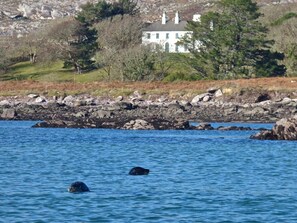 Westcove House with seals