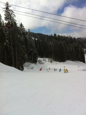 Sneeuw- en skisporten