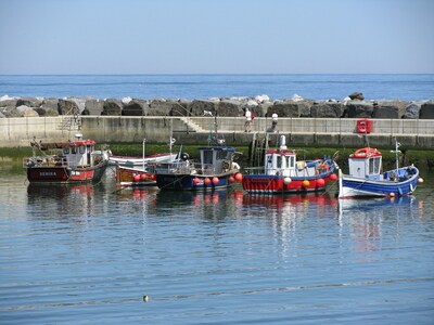 Harbour View, Staithes - harbour front location 