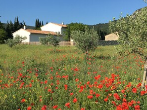 Jardines del alojamiento