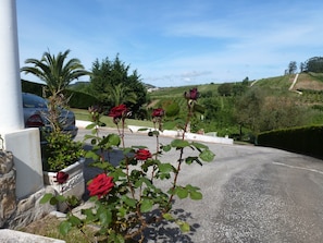 Front Driveway